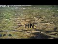 microscopic