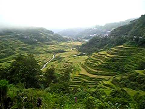 Banaue Rice Terraces