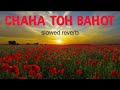 Chaha To Bahut Na Chahe Tujhe (Slowed Reverb ) - Kumar Sanu , Bela Sulakhe , Anu Malik | Imtihan