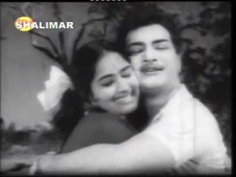 NTR BHALE THAMMUDU NEDE EENADE