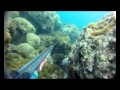 PESCA SUB bassofondo