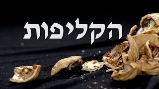 אדיר איתן - הקליפות