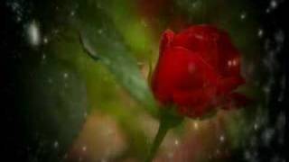 Yunus Meral - Neredesin 2008 Orjinal Klip