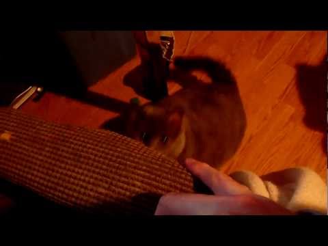 Open Your Eyes Video