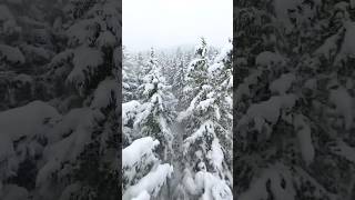 Kar Manzara Drone Çeki̇m Hari̇ka
