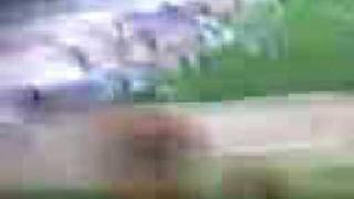 Z8ZynPXT0nc Video Image
