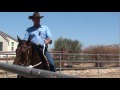 Basic rein aids, cues, and commands - LINCOLN KINNEY - HORSEMANSHIP OUT WEST - Part 25