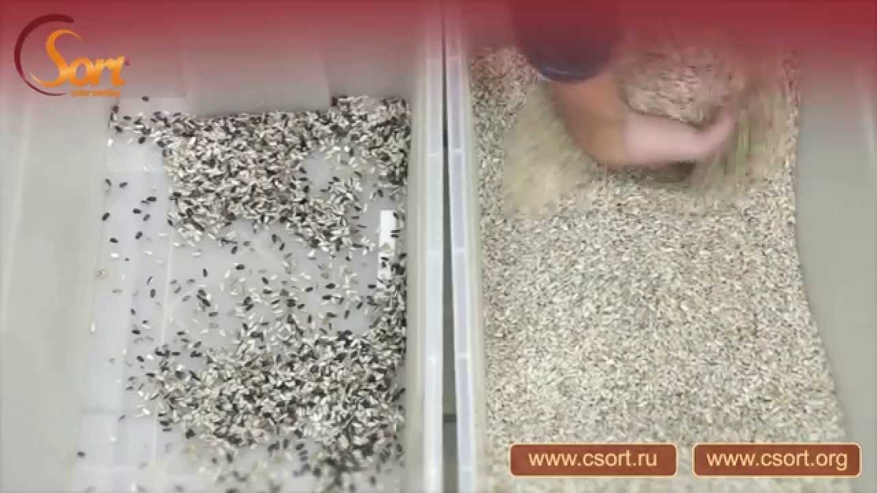 Елена виноградова мастер класс переплет Елена виноградова мастер класс переплет