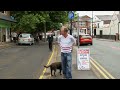 dog training