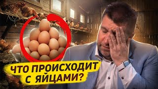 Что Нам Делать С Нашими Яйцами? / Дмитрий Потапенко