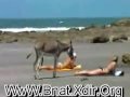 حمار تعب على بنت ببكيني.flv
