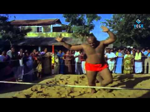Puli Bebbuli Movie - Chiranjeevi Action Scene