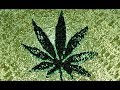 Stoner Reggae Playlist Vol. 12 Stoner Reggae Playlist Vol. 12