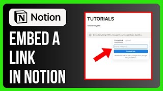 How To Embed A Link In Notion