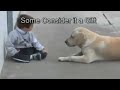 Kind met Down Syndrome speelt met hond