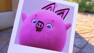 Sunny Bunnies | Taking The Cutest Picture 🐽 | SUNNY BUNNIES COMPILATION | Videos For Kids