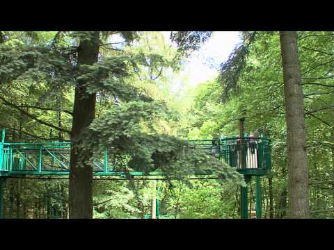 Youtube Vorschau Youtube Vorschau