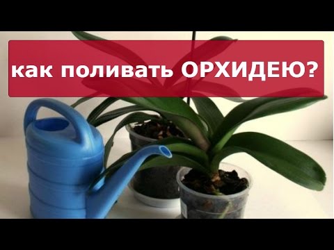 Интернет магазин модной одежды Десятка - Главная