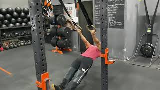 Supinated Ring Row Hold(Dipte)