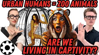 Humans Dont Breed In Captivity? Urban Behavior Mirrors Zoo Animals, Zoochosis