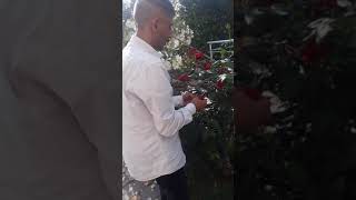 Cicegime Cicek Goturuyorum Ama Butun Cicekler Soluk Kaliyor