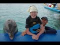Dolphins Make Me Cry Video preview