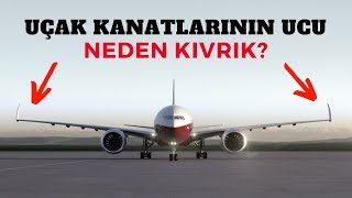 Uçak Kanatlarinin Ucu Neden Kivrik? Winglet & Sharklet