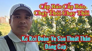 Hiến Kế Tháo Chạy Của Cái Gọi Là Chuột Lọi