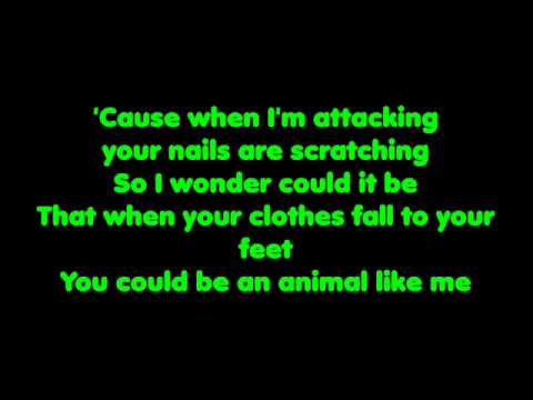 Animal Video
