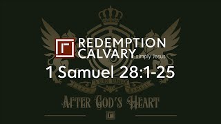 1 Samuel 28:1-25
