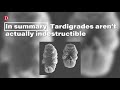 Are Tardigrades Immortal?