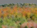 Gerard Drozd - Dancing Lady op.106 plays Duo Bonfanti