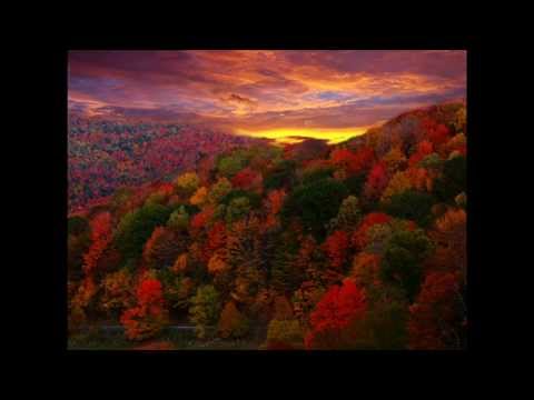 Marina Voica - Să Nu-mi Vorbești De Iubire Marina Voica - Să Nu-mi Vorbești De Iubire