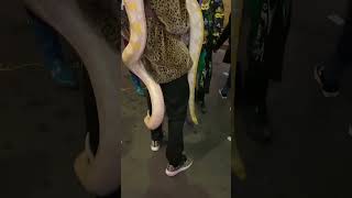 Mardi Gras 2023 Should I Touch It?
