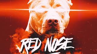 Watch Yn Jay Red Nose Pit video