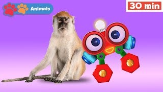 Toddlers Learn Animals With Robi Educational Early Learning Videos Animals Names & Sounds