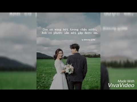 Những Stt thật dễ thương và đáng yêu😍🤩🥰