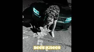 Kenji B - Bees Knees Past Lifes