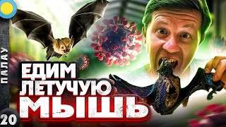 Видео ПАЛАУ. Знакомство с ОСТРОВОМ от POINT ON THE MAP, Нгерулмуд, Палау