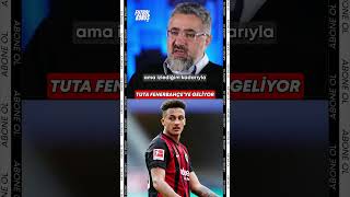 Fenerbahçeden Frankfurt Stoperi Tuta Hamlesi.