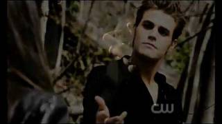 Stefan & Elena. - You Are My Heaven