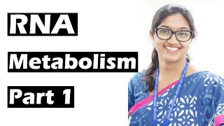 Rna Metabolism Part 1 Biochemistry For Mbbs Students By Dr Aritri Bir