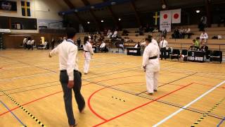 Jka Cup Lund 2014 - Finale - Malou Sebens Vs Ceyda Kibar