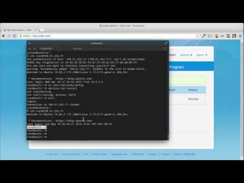 Foto web hosting control panel nginx