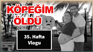 HAMİLELİĞİMDE 35.HAFTA | HAFTALIK VLOG (6. Bölüm)