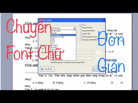 Cách chuyển font chữ Vni times, Vn time sang Time New Roman cực dễ I Dũng Vlog