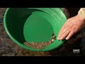 Gold Panning Like A Pro Gold Panning Like A Pro