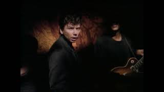 Watch Jerry Harrison Man With A Gun video