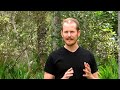 Healing the Neck: Repatterning Movement Exercise to Heal and Prevent Neck Pain