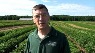 Potato Specialist Chris Long at MSU's Montcalm Research Station 2